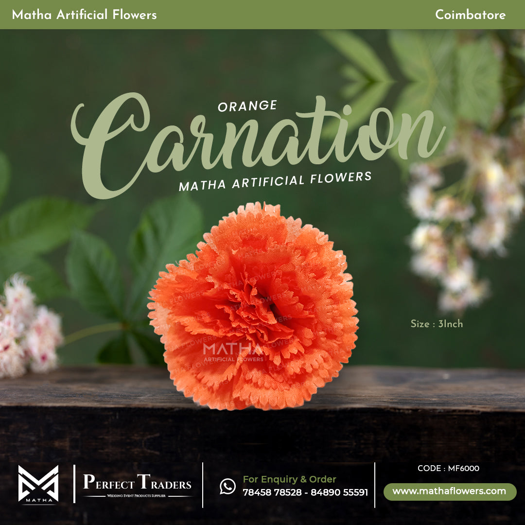 Carnation Pack of 100 Pcs