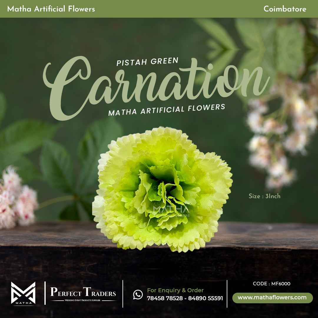 Carnation Pack of 100 Pcs