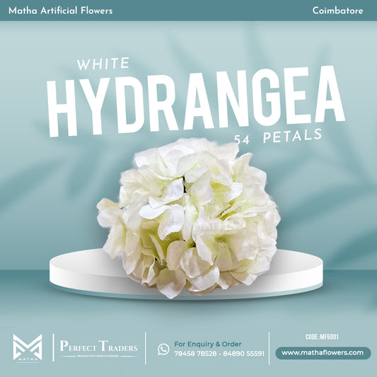 Hydrangea - 54 Petals