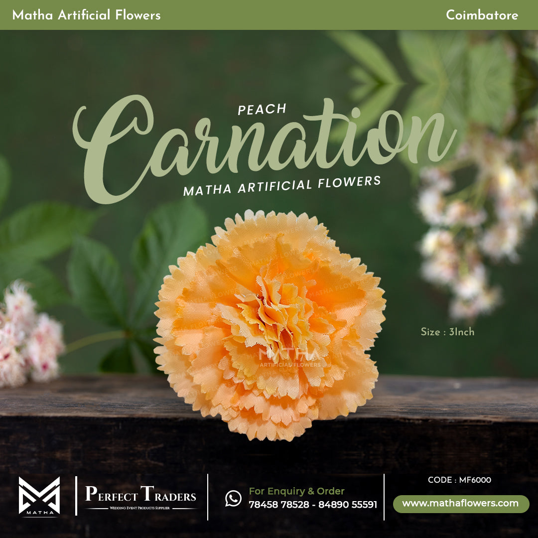 Carnation Pack of 100 Pcs