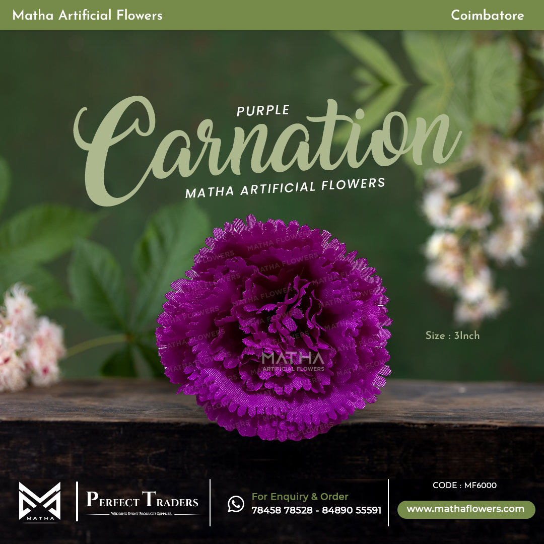 Carnation Pack of 100 Pcs