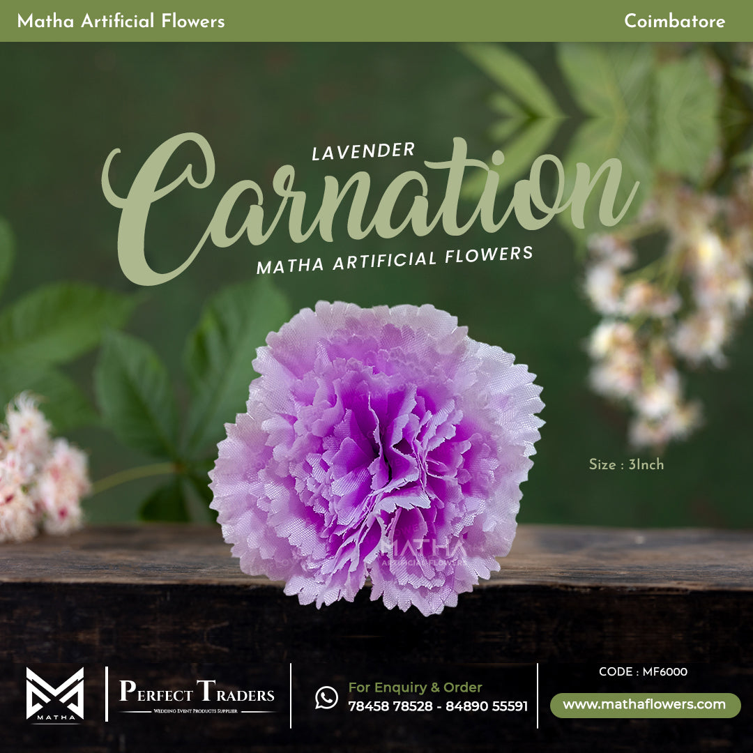 Carnation Pack of 100 Pcs