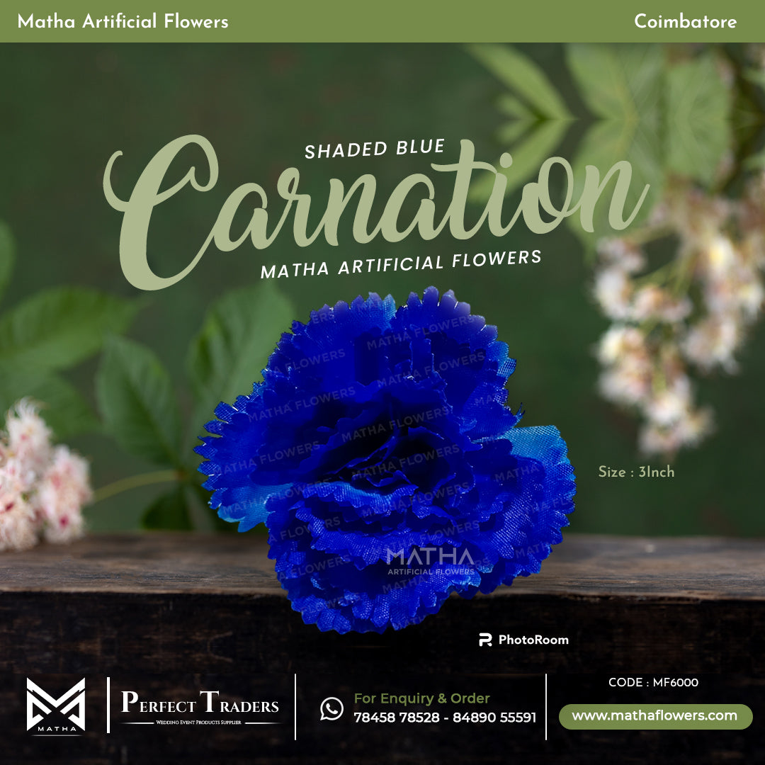 Carnation Pack of 100 Pcs