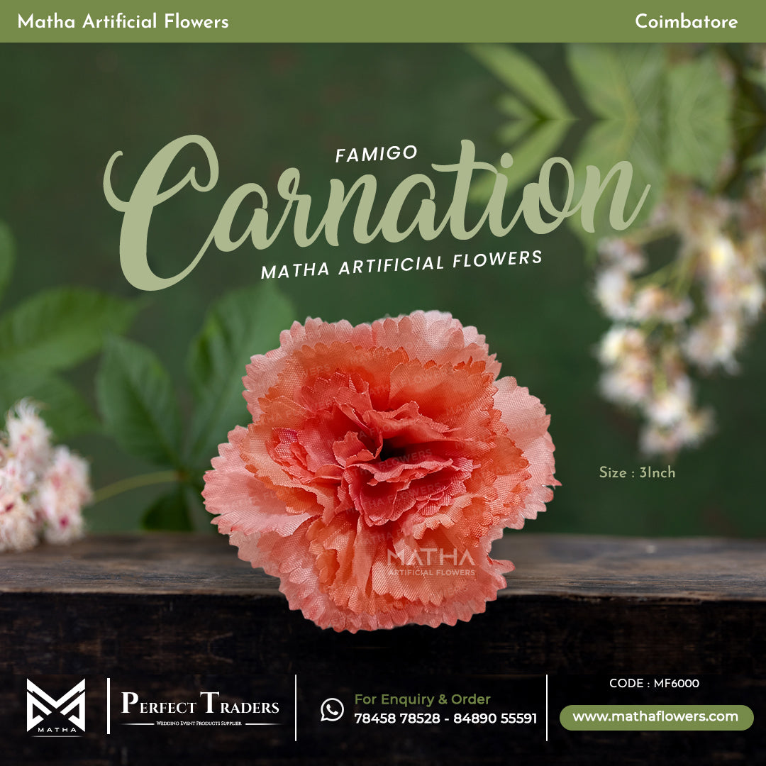 Carnation Pack of 100 Pcs