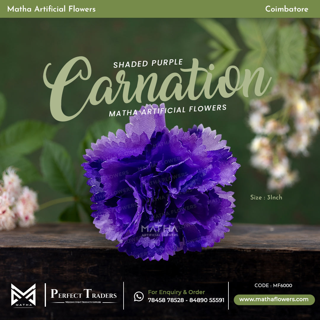 Carnation Pack of 100 Pcs