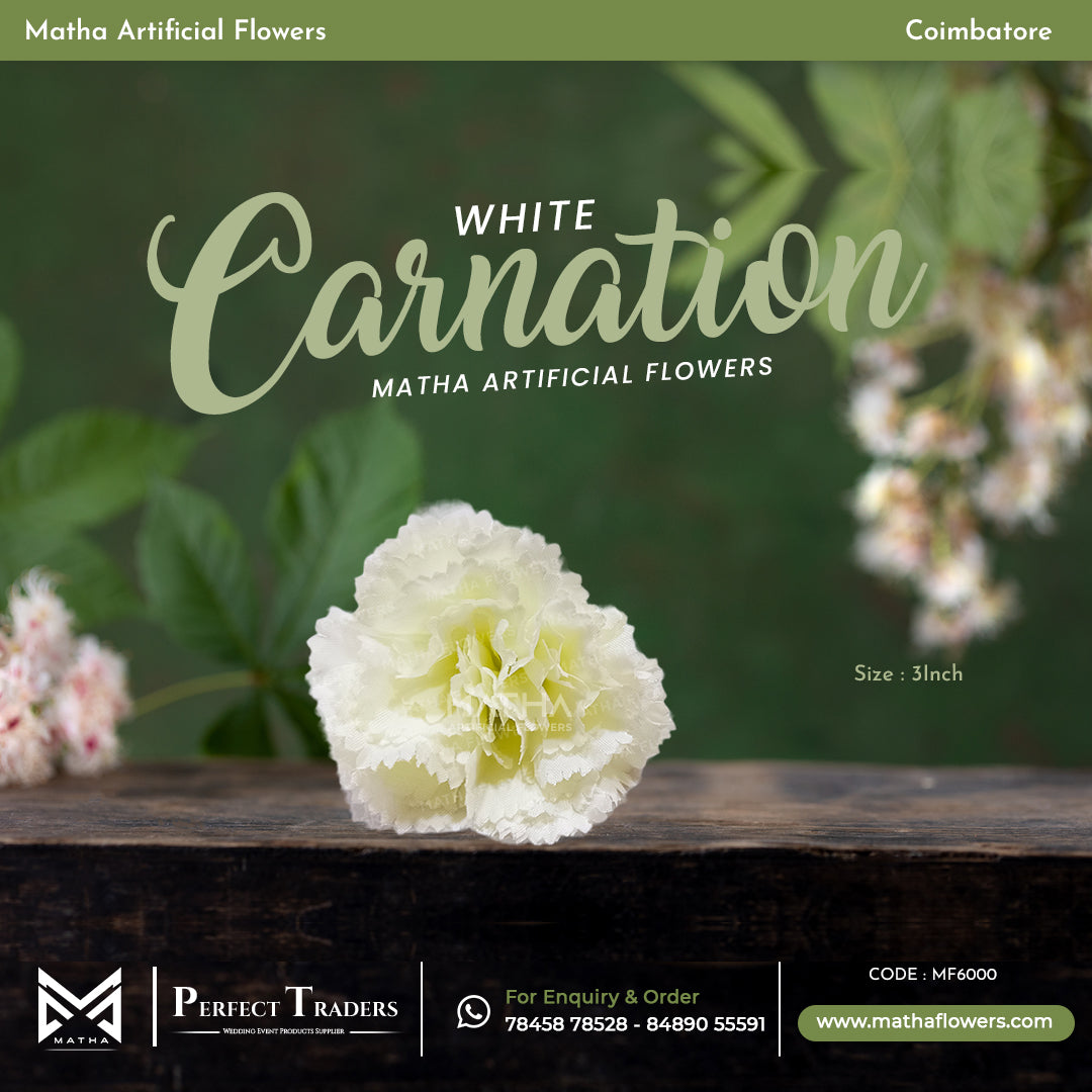 Carnation Pack of 100 Pcs