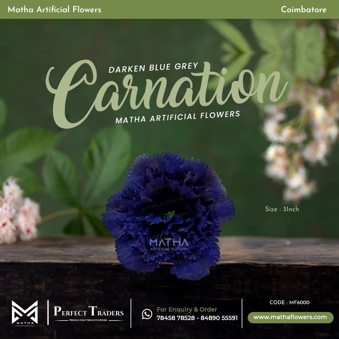 Carnation Pack of 100 Pcs