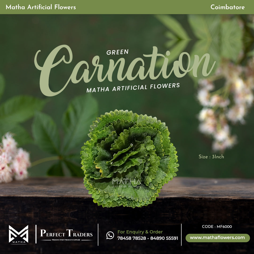 Carnation Pack of 100 Pcs