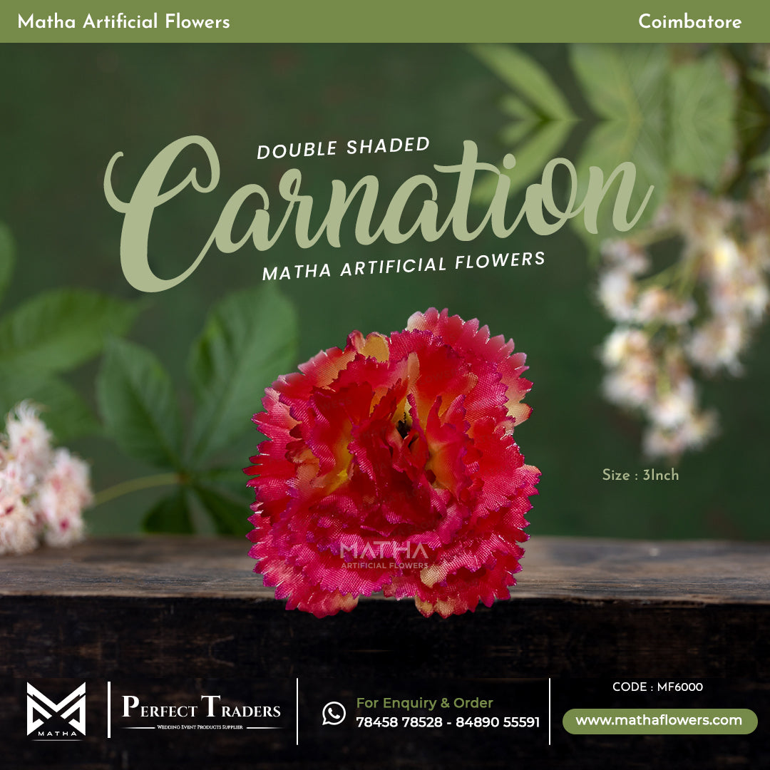 Carnation Pack of 100 Pcs