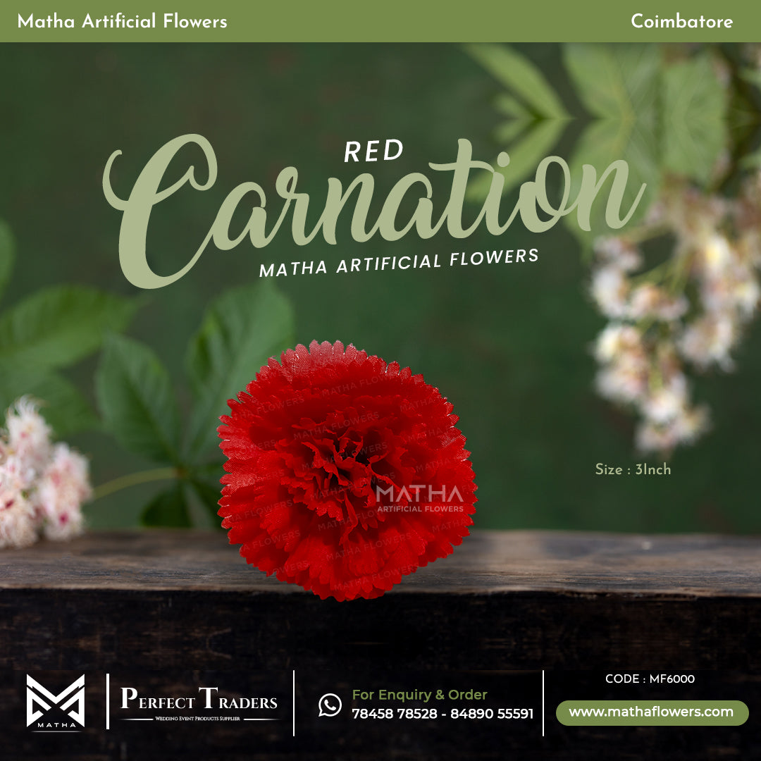 Carnation Pack of 100 Pcs