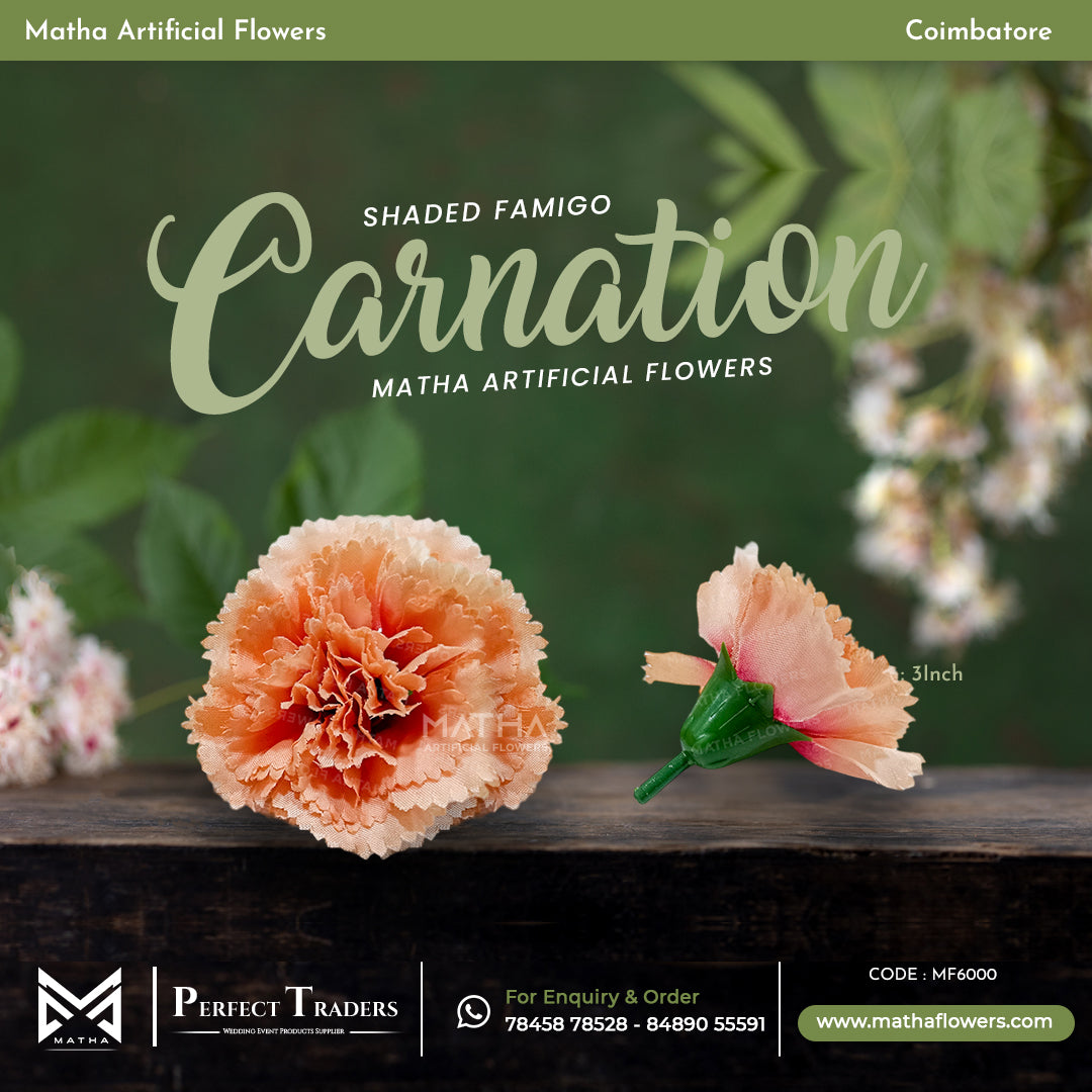 Carnation Pack of 100 Pcs