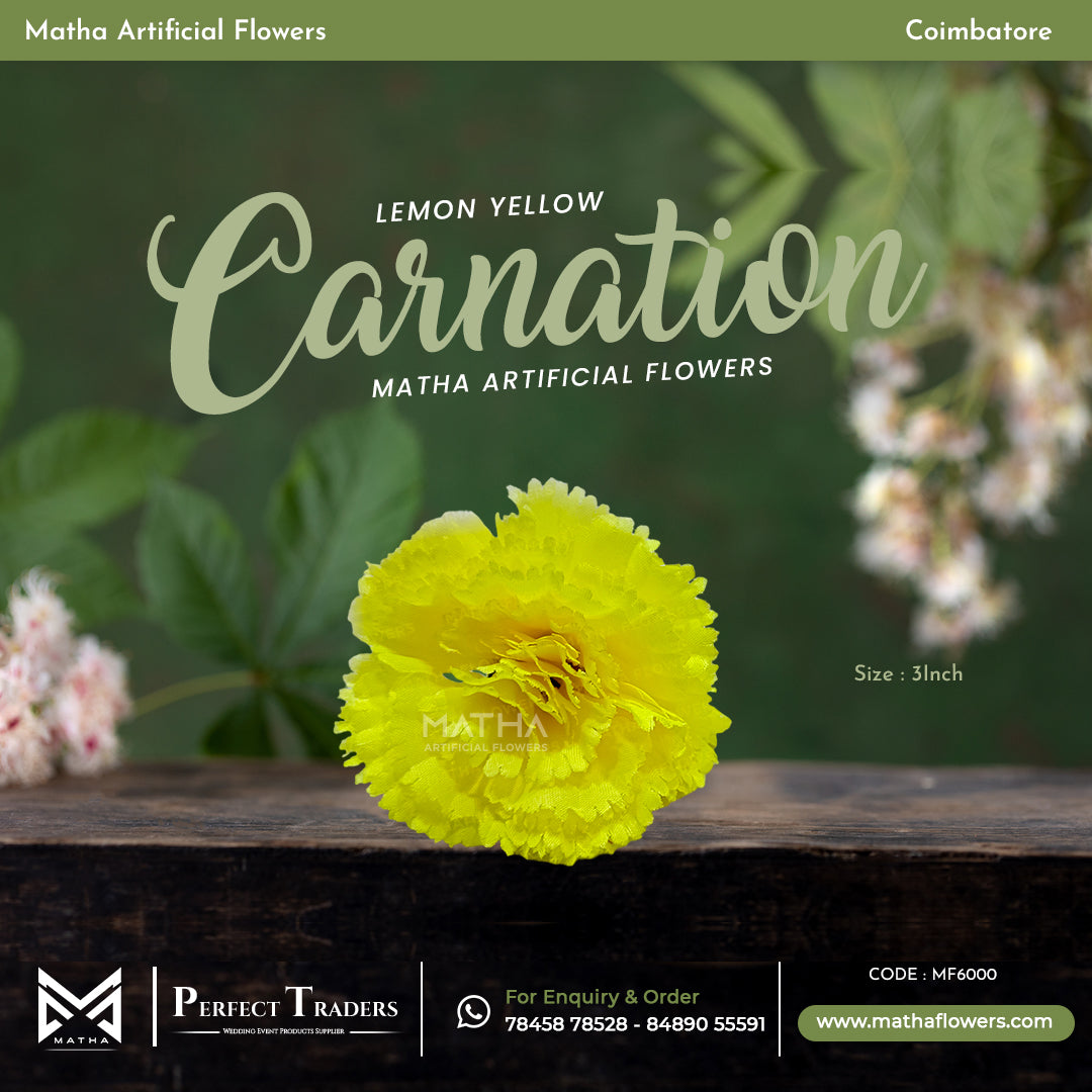 Carnation Pack of 100 Pcs