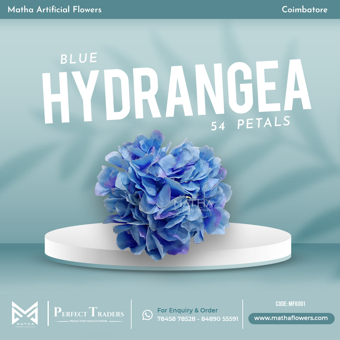 Hydrangea - 54 Petals