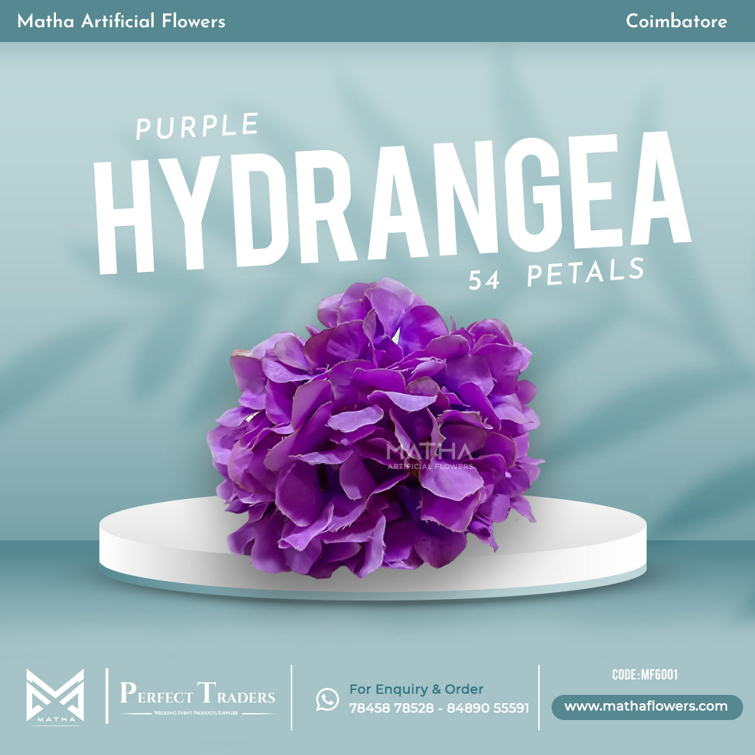 Hydrangea - 54 Petals