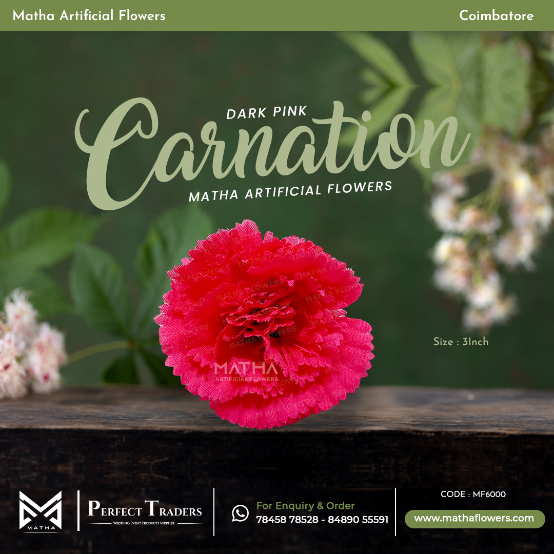 Carnation Pack of 100 Pcs