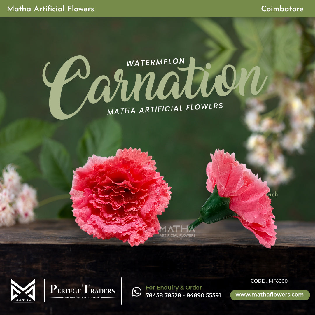 Carnation Pack of 100 Pcs