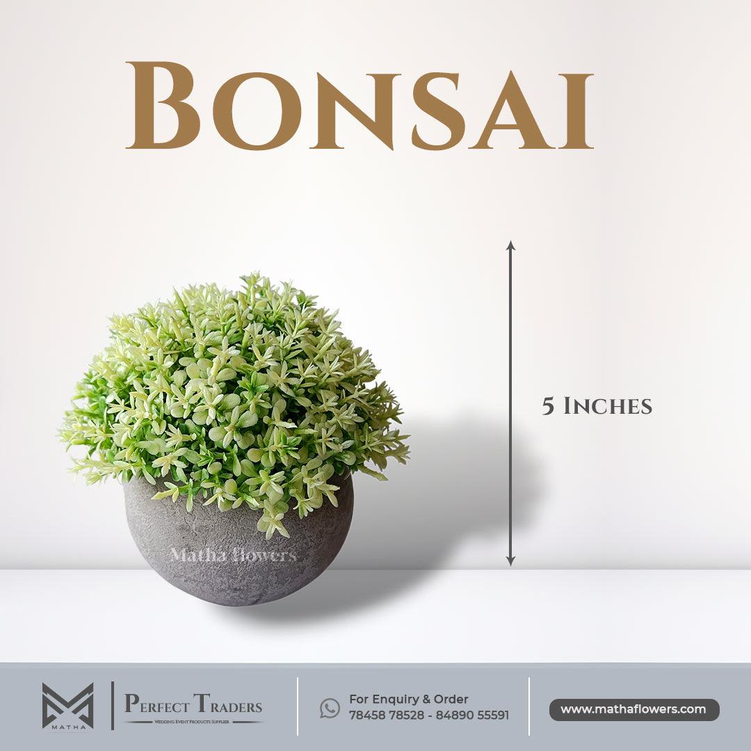 Bonsai