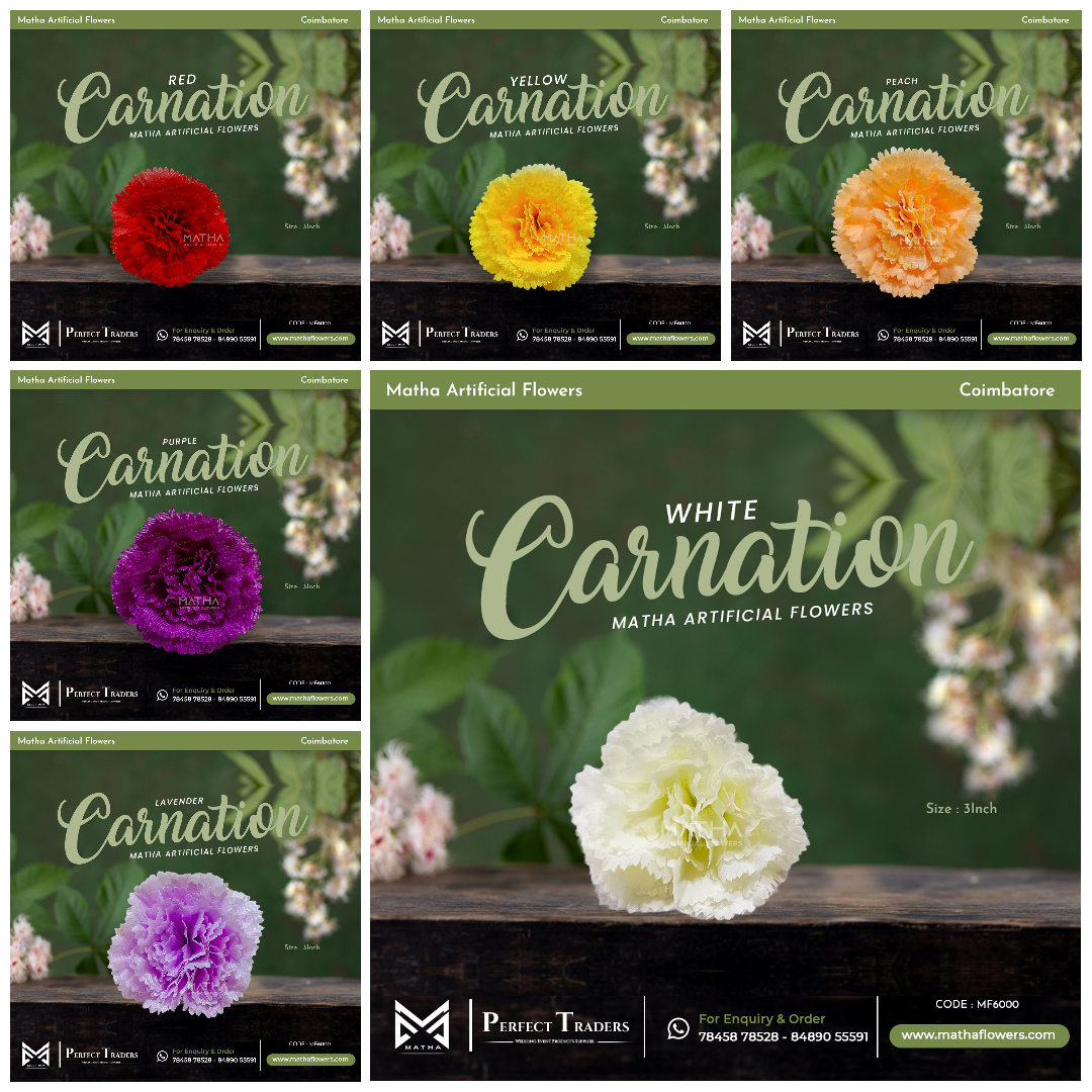 Carnation Pack of 100 Pcs